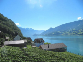 Hotels in Quinten